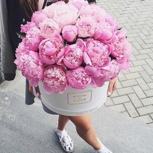 Meet your Posher, Jane